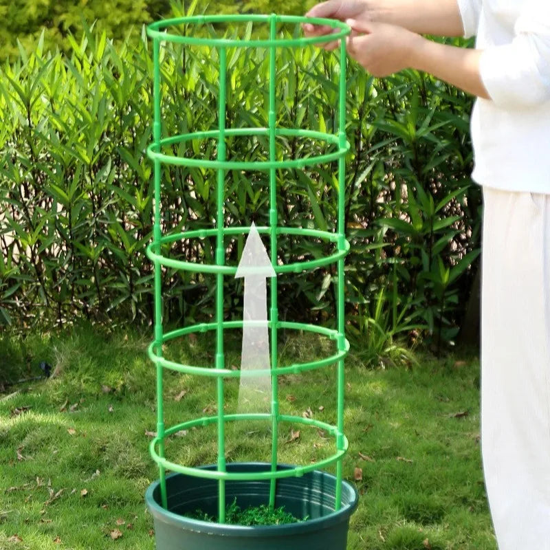Juego de 2 a 6 soportes para plantas, estacas redondas, anillos de soporte de plástico para plantas, jaulas para plantas, soportes para macetas, enrejados para plantas trepadoras, herramientas de jardinería.
